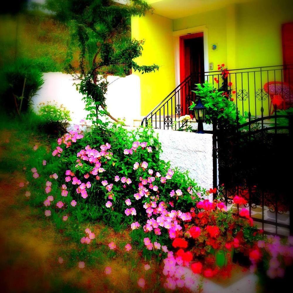 Alexandra'S House Otel İskados Dış mekan fotoğraf